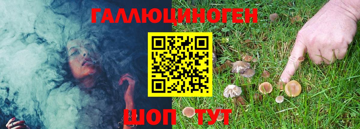 Галлюциногенные грибы Psilocybine cubensis  Вход с VPN  Красноуфимск  Галлюциногенные грибы прущие грибы 